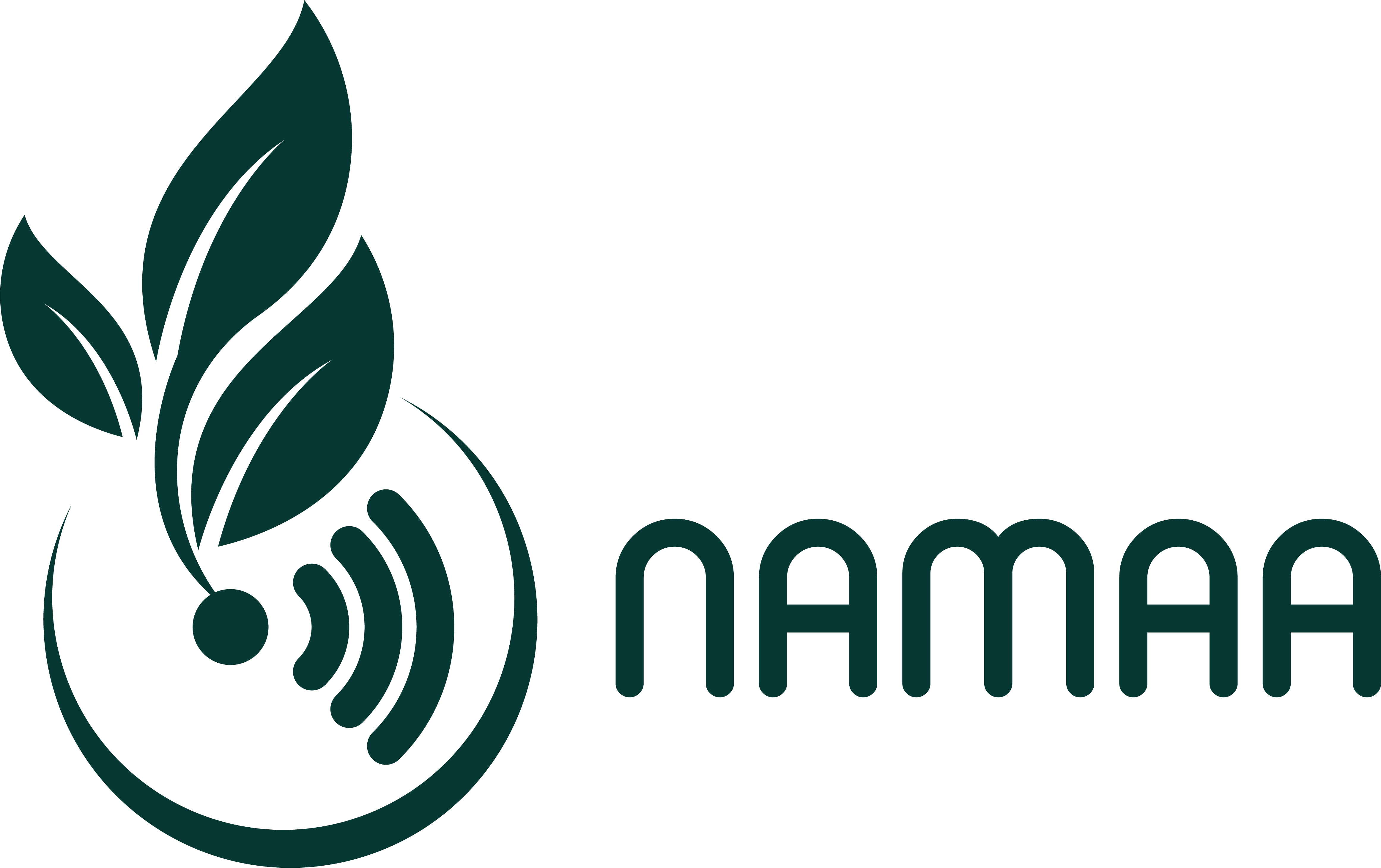 NAMAA Logo