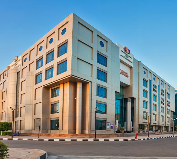 Misr University For Science And Technology Healthcare