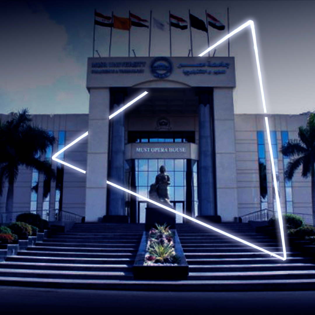 Misr University For Science And Technology